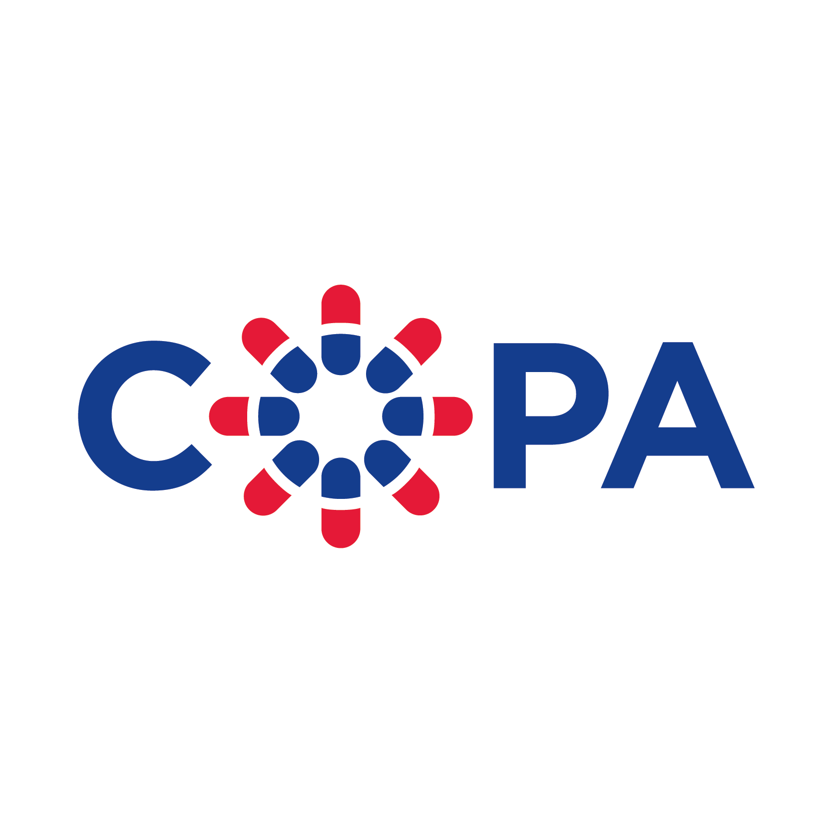 20 year logo Initiative logo COPA solo