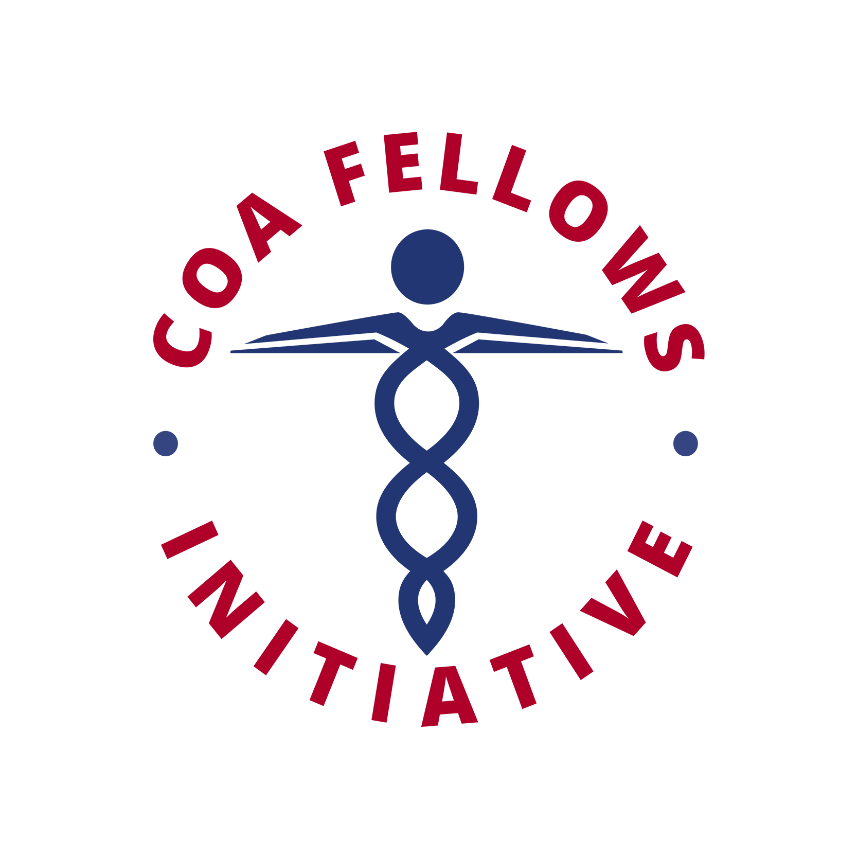 20 year logo Initiative logo Fellows solo 1